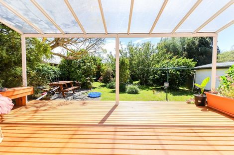 Photo of property in 102 Manawatu Street, Hokowhitu, Palmerston North, 4410