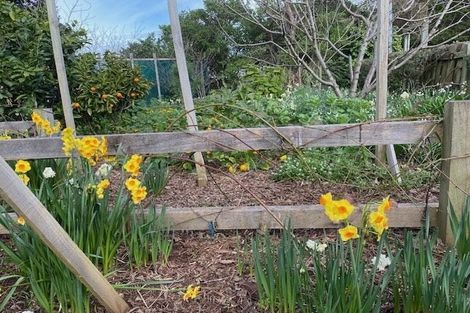 Photo of property in 4 Tarawa Street, Paekakariki, 5034