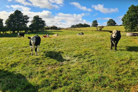 Photo of property in 246 Korito Road, Korito, New Plymouth, 4371