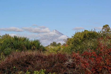 Photo of property in 81c Huatoki Street, Vogeltown, New Plymouth, 4310