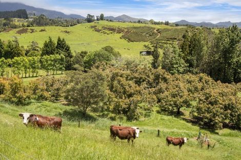 Photo of property in 520 Wright Road, Aongatete, Katikati, 3181