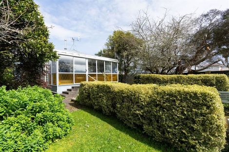 Photo of property in 45 Kennedy Drive, Levin, 5510