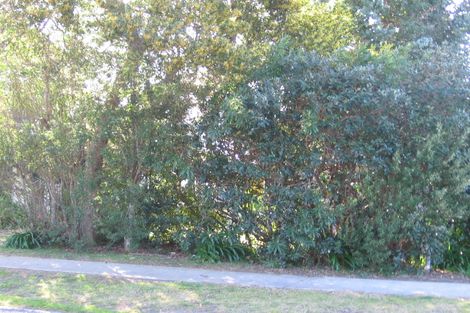 Photo of property in 95 Captain Cook Road, Cooks Beach, Whitianga, 3591