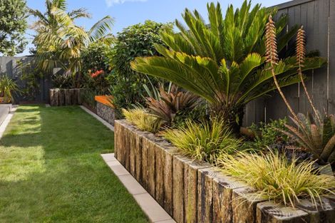 Photo of property in 11 Sarcodia Place, Papamoa Beach, Papamoa, 3118