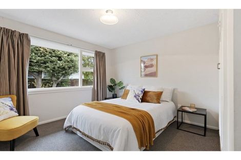 Photo of property in 113 Effingham Street, North New Brighton, Christchurch, 8083