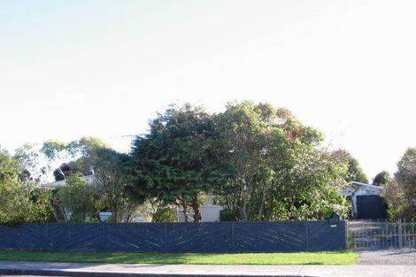 Photo of property in 27 Lemon Street, Otaki, 5512