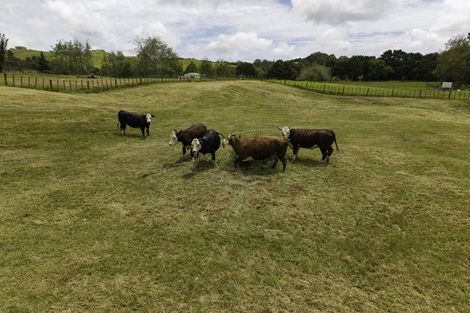 Photo of property in 307 Duncan Road, Kaingaroa, Kaitaia, 0482