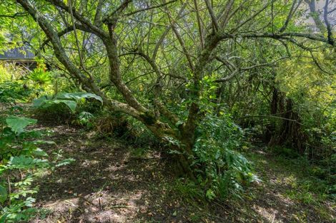 Photo of property in 24 Cross Street, Raglan, 3225