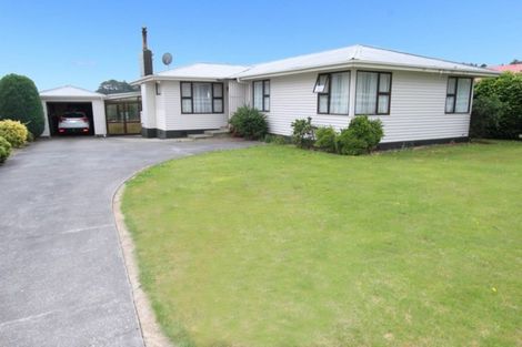 Photo of property in 35 Alfredton Road, Eketahuna, 4900