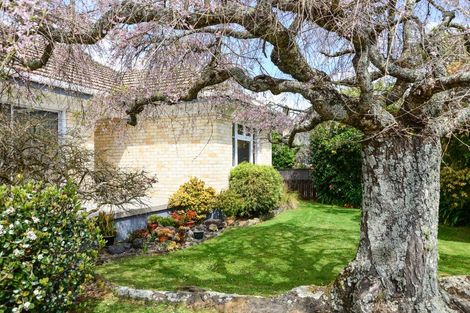 Photo of property in 36 Oxford Street, Fairfield, Hamilton, 3214