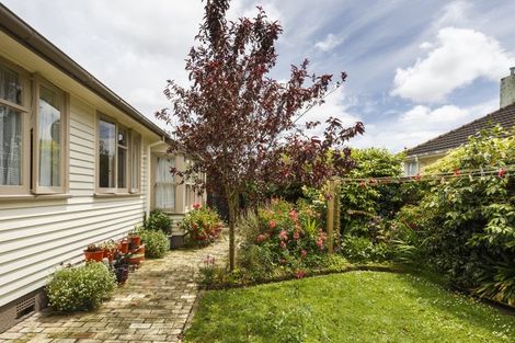 Photo of property in 8 Montrose Place, Takaro, Palmerston North, 4412