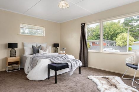 Photo of property in 48 Fitzroy Avenue, Fitzroy, Hamilton, 3206