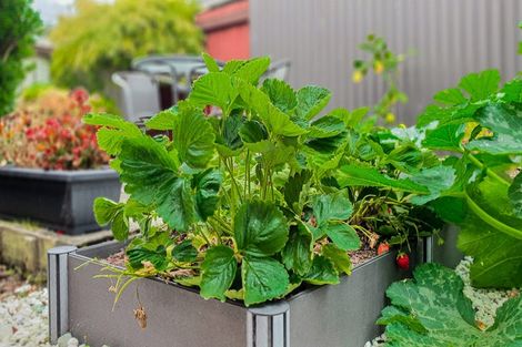 Photo of property in 32b Rutherford Street, Caversham, Dunedin, 9012