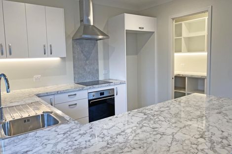 Photo of property in 58a Suffolk Street, Hampstead, Ashburton, 7700