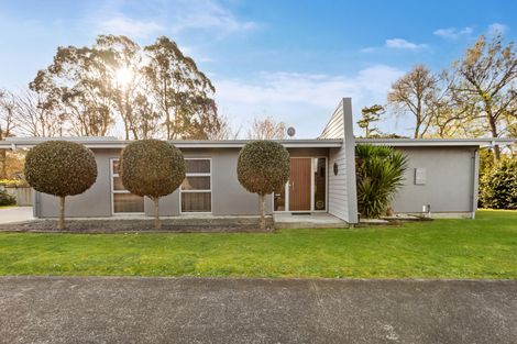 Photo of property in 20 Sequoia Place, Morrinsville, 3300