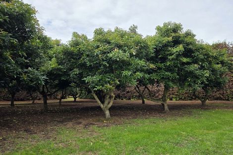 Photo of property in 244 Beach Road, Katikati, 3178