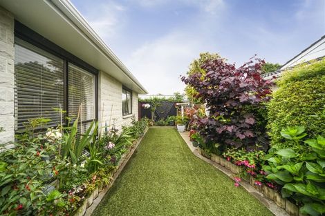 Photo of property in 26 Fitzroy Street, Terrace End, Palmerston North, 4410