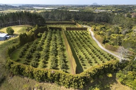 Photo of property in 83 I'anson Road, Minden, Tauranga, 3179