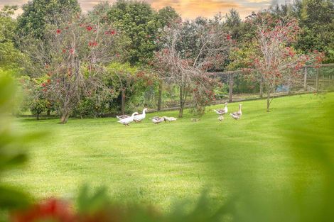 Photo of property in 68 Wiroa Road, Kerikeri, 0293