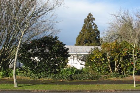 Photo of property in 46 Gillies Avenue, Claudelands, Hamilton, 3214