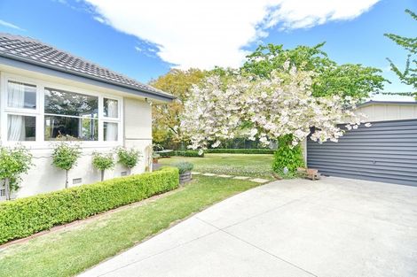 Photo of property in 39 Flower Street, Bryndwr, Christchurch, 8053