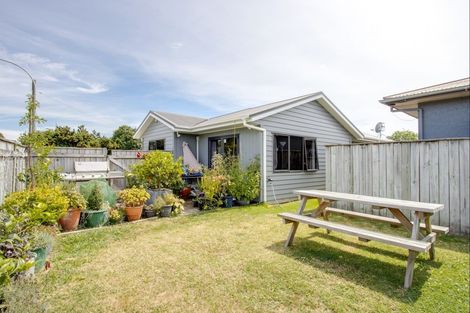 Photo of property in 1118 Copeland Road, Akina, Hastings, 4122