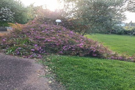 Photo of property in 15 Pohutukawa Avenue, Red Beach, 0932