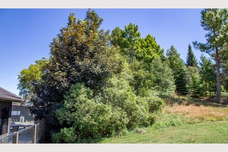 Photo of property in 38 Park Avenue, Ohakune, 4625