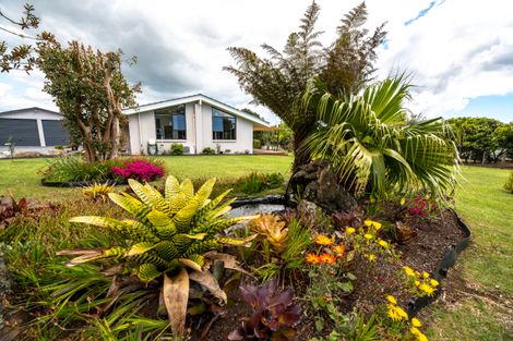 Photo of property in 38 Riddell Road, Kerikeri, 0230