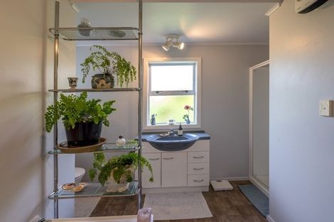 Photo of property in 18 Graham Street, Levin, 5510