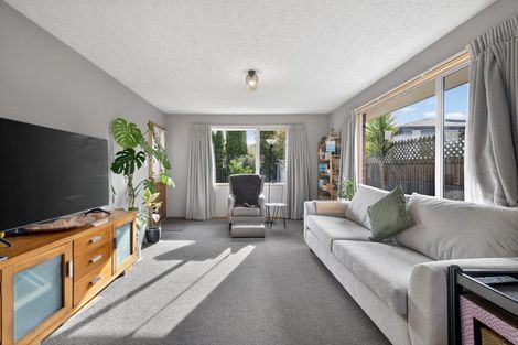 Photo of property in 19a Richill Street, Belfast, Christchurch, 8051