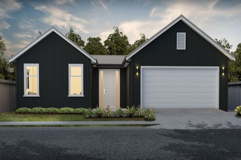 Photo of property in 46 Lochhead Street, Mahora, Hastings, 4120