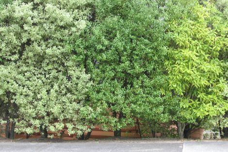 Photo of property in 2/44 Heathcote Road, Castor Bay, Auckland, 0620