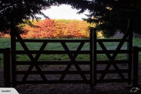 Photo of property in 26 Waiora Lane, Waikuku, 7473