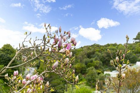 Photo of property in 7 Mortimer Terrace, Aro Valley, Wellington, 6021
