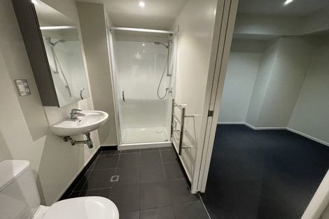 Photo of property in Soho Apartments, 519/74 Taranaki Street, Te Aro, Wellington, 6011