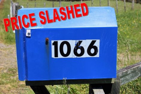 Photo of property in 1066 Richmond Road, Everett Park, Inglewood, 4389