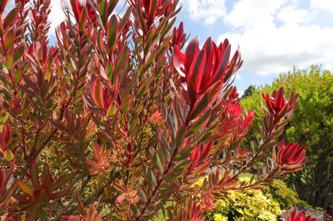 Photo of property in 83 Kimihia Road, Huntly, 3700