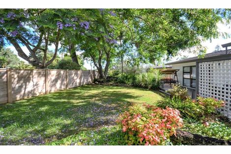 Photo of property in 59 Landing Road, Kerikeri, 0230