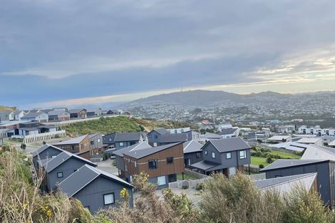 Photo of property in 89 Cedarwood Street, Woodridge, Wellington, 6037