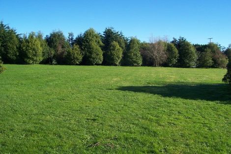 Photo of property in 178 The Avenue, Levin, 5510