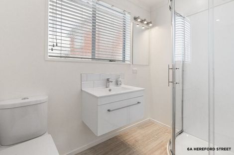 Photo of property in 6a Hereford Street, Roslyn, Dunedin, 9010