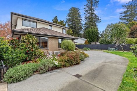 Photo of property in 217c Grange Road, Otumoetai, Tauranga, 3110