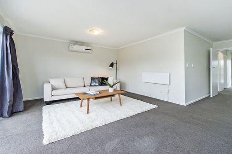 Photo of property in 1/46 Packe Street, Edgeware, Christchurch, 8013