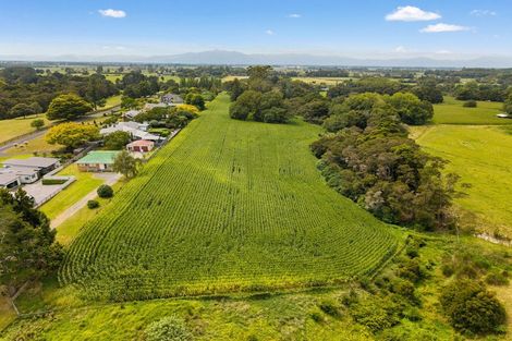Photo of property in 6 Seales Road, Morrinsville, 3374