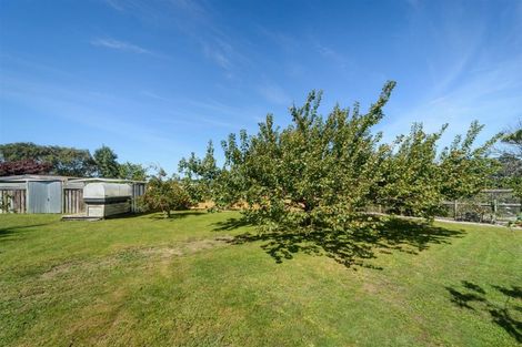 Photo of property in 28 Alexandra Street, Marton, 4710