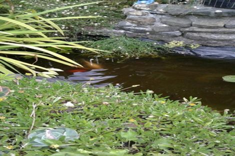 Photo of property in 8 Russell Avenue, Te Aroha, 3320