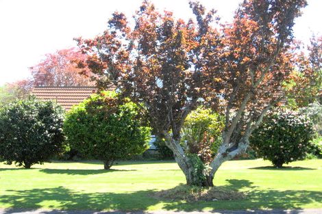 Photo of property in 32 Score Road, Inner Kaiti, Gisborne, 4010