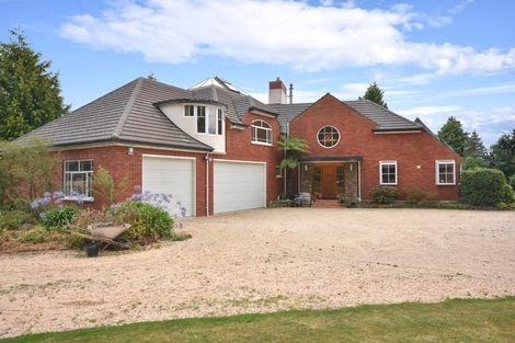 Photo of property in 21 Helensbrook Road, Milton, 9220