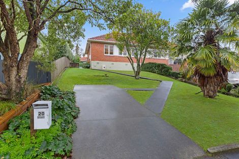 Photo of property in 20 Plunket Terrace, Hamilton East, Hamilton, 3216